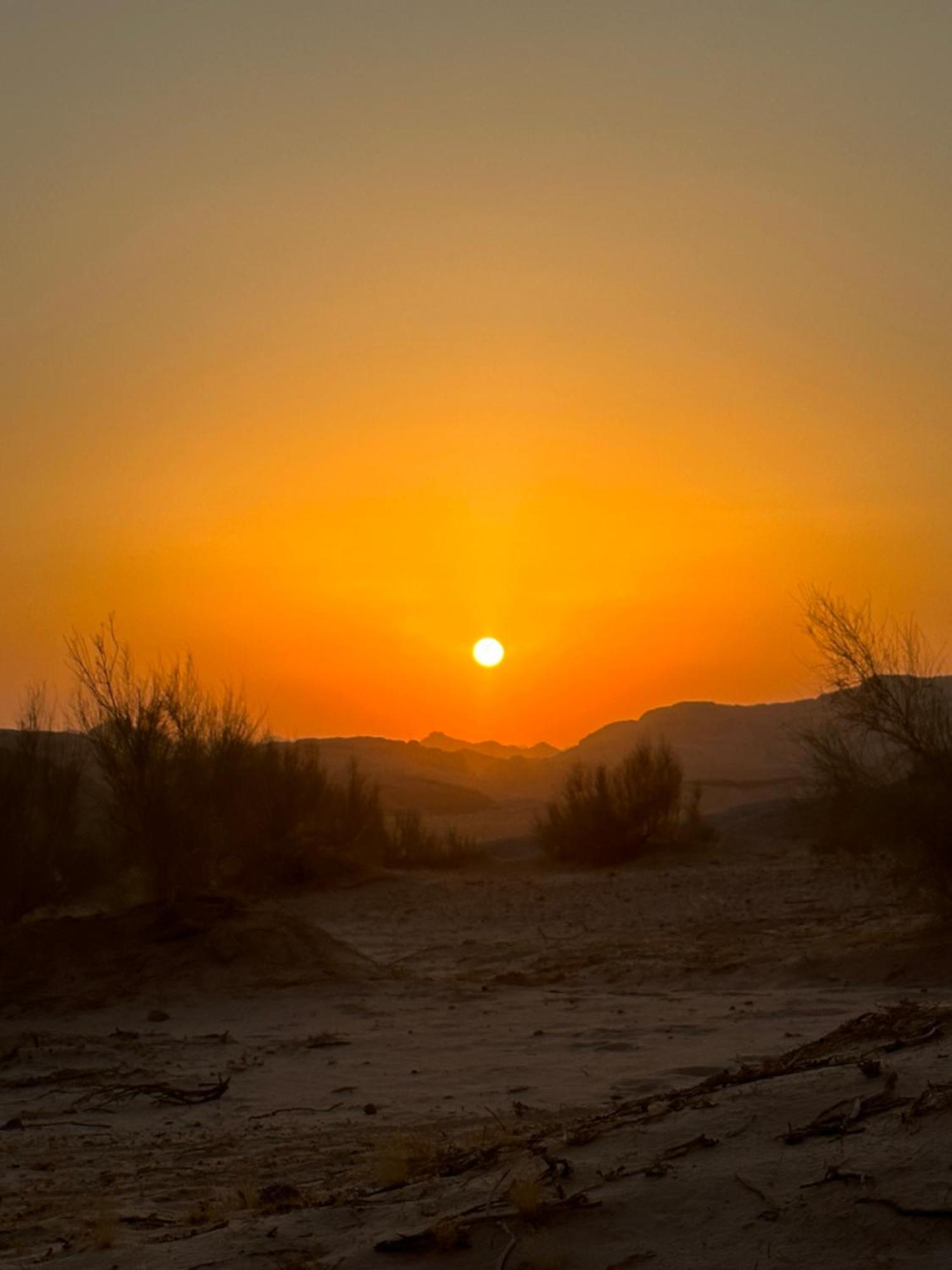 Bedouin Future Camp Otel Ram Vadisi Dış mekan fotoğraf
