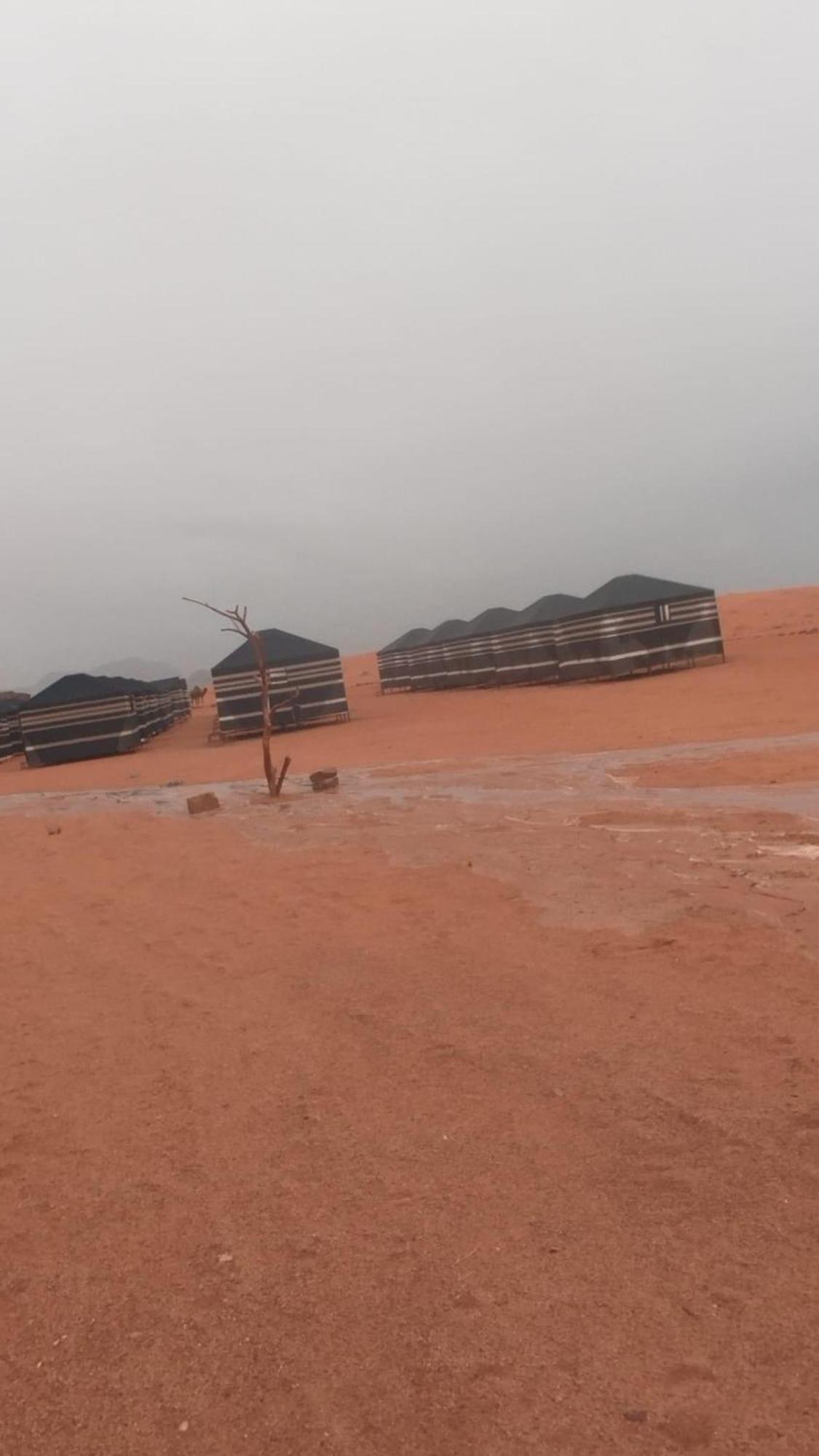 Bedouin Future Camp Otel Ram Vadisi Dış mekan fotoğraf