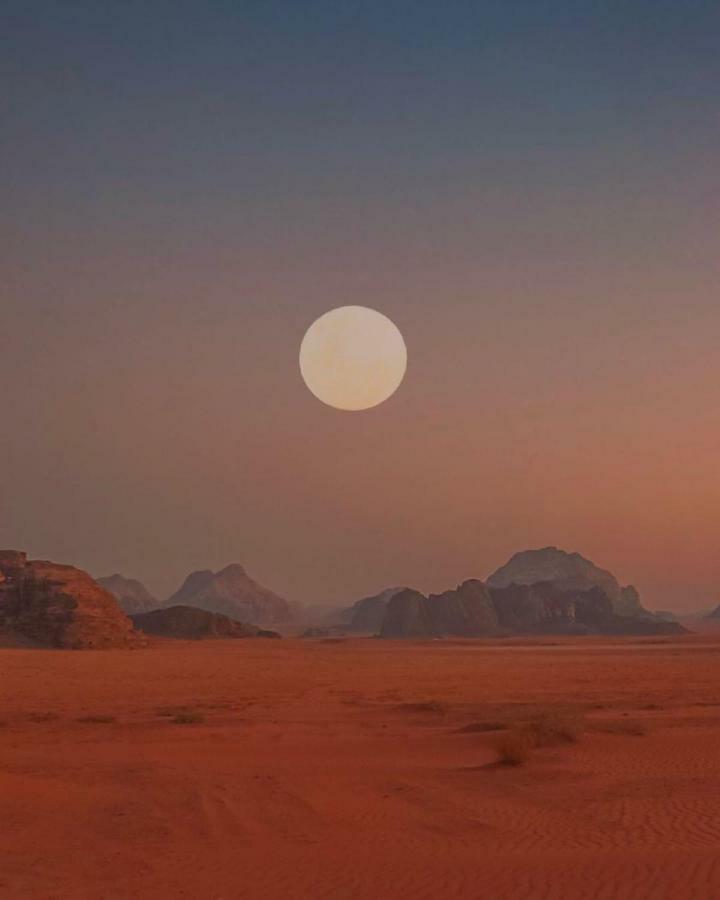Bedouin Future Camp Otel Ram Vadisi Dış mekan fotoğraf